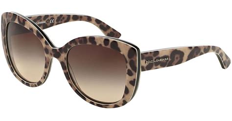 dolce gabbana leoparded|dolce and gabbana leopard glasses.